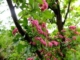 DSCF9874_R
