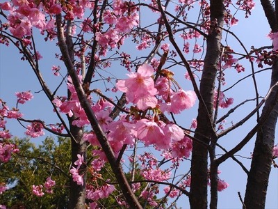 DSCF7886_R