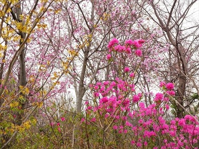 DSCF1357_R