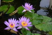 DSCF9133_R