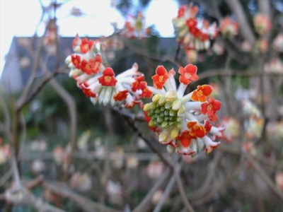DSCF4712_R