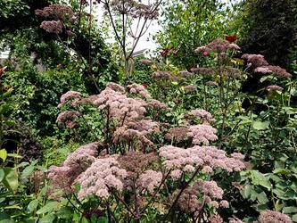 DSC01300_R
