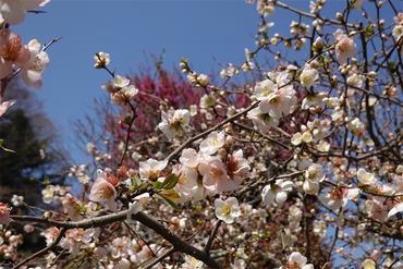DSC06255_R