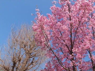 DSCF4812_R