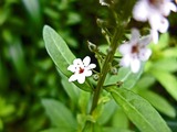 DSCF2693_R