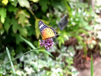 DSCF1563_R