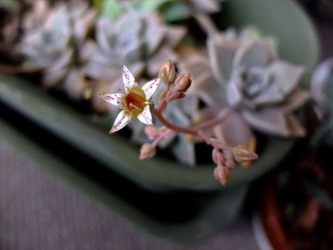 DSCF8856_R