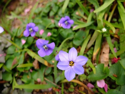 DSCF1683_R