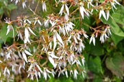 DSCF3720_R