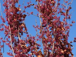 DSCF6887_R
