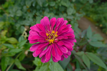 DSC07599_R
