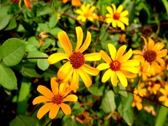 DSCF1557_R