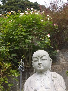 DSCF9027_R