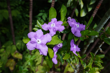 DSC02814_R