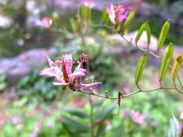 DSCF5860_R