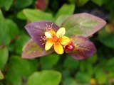 DSCF2227_R