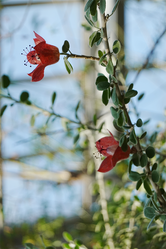 DSC03870_R