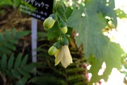 DSCF6942_R