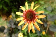 DSCF5848_R