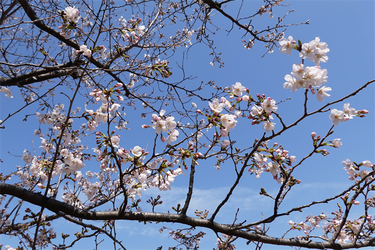 DSC06169_R