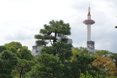 DSC09954_R