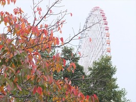 DSCF6054_R