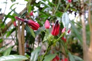 DSCF0089_R