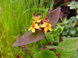 DSCF2230_R