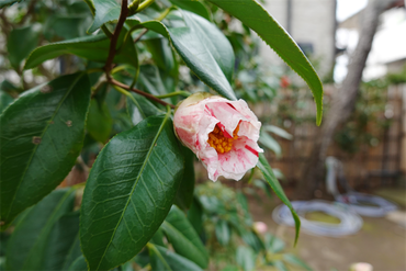 DSC06104_R