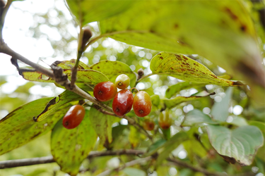 DSC09876_R