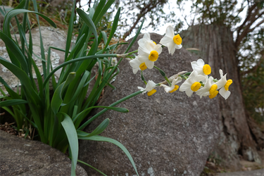 DSC05664_R