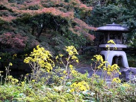 DSCF5864_R