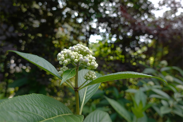 DSC02730_R