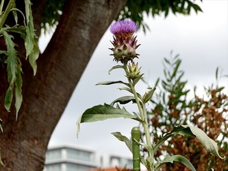 DSC01313_R
