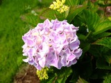 DSCF2317_R