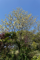 DSC06639_R