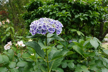 DSC08143_R