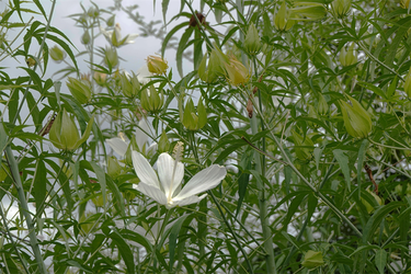 DSC09061_R