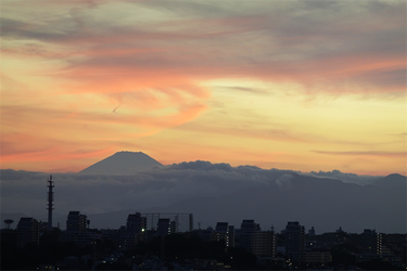 DSC09209_R