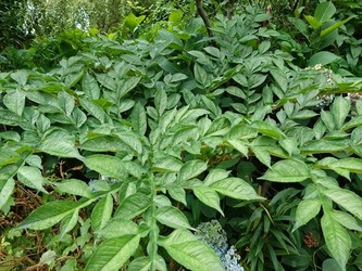 DSC01257_R