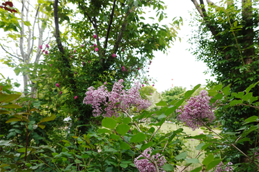 DSC06857_R