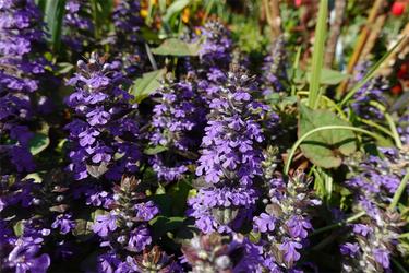 DSC06396_R