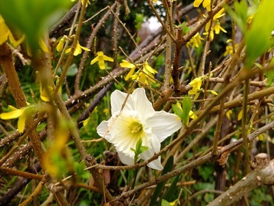 DSCF1403_R