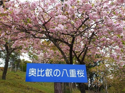 DSCF9371_R