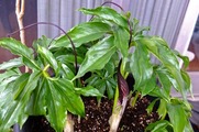 DSCF1847_R