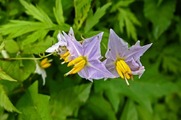 DSCF5288_R