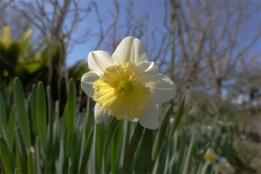DSC00355_R