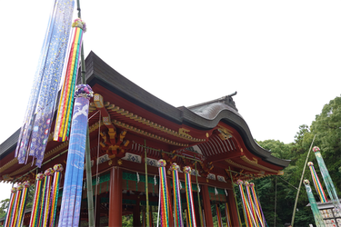 DSC08677_R