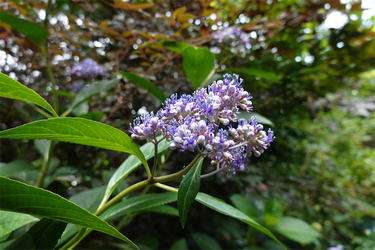 DSC08460_R