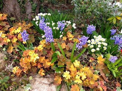 DSCF7467_R